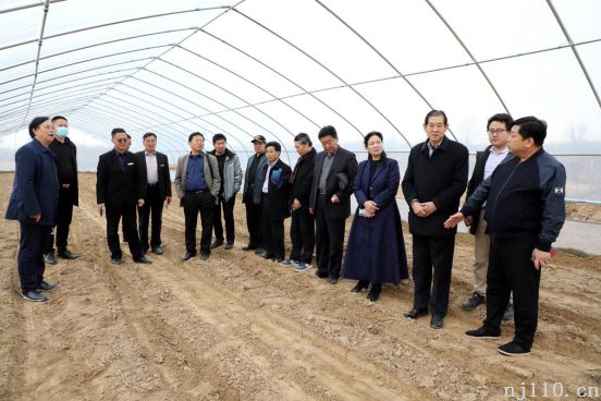 国家农村农业部专家调研组在河南“中航”蔬菜种植基地调研