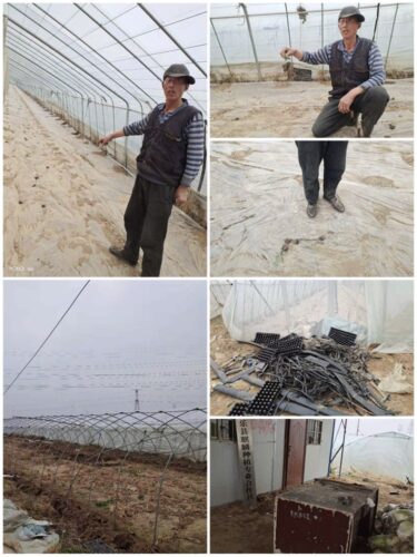 南乐县乡村干部毁苗事件调查之二 河南律师认为，这是典型的胡作为和乱作为是违法犯罪