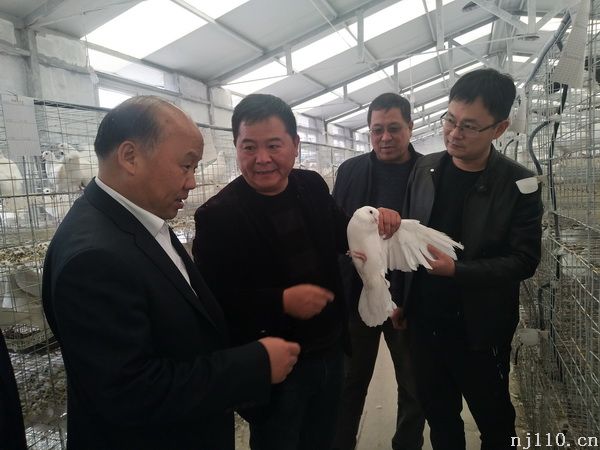 李成喜：物华天宝“鸽”声亮