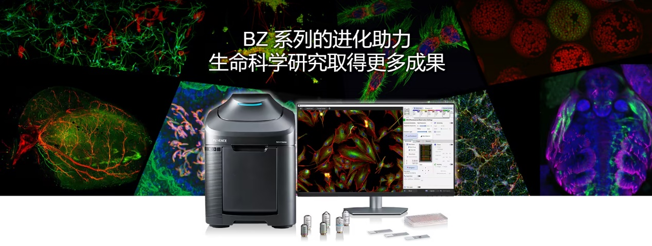 6月16图片2.png