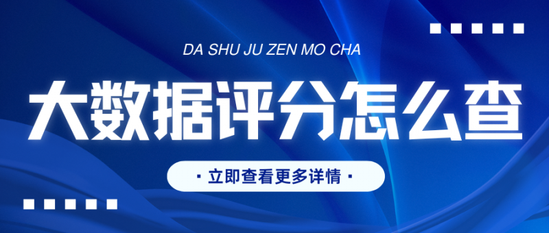 大数据评分