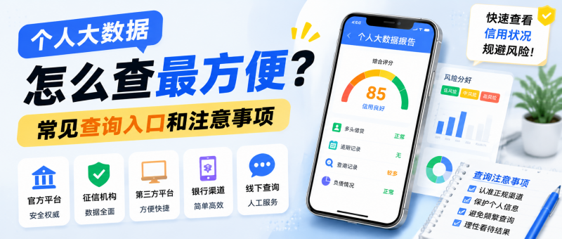 个人大数据查询