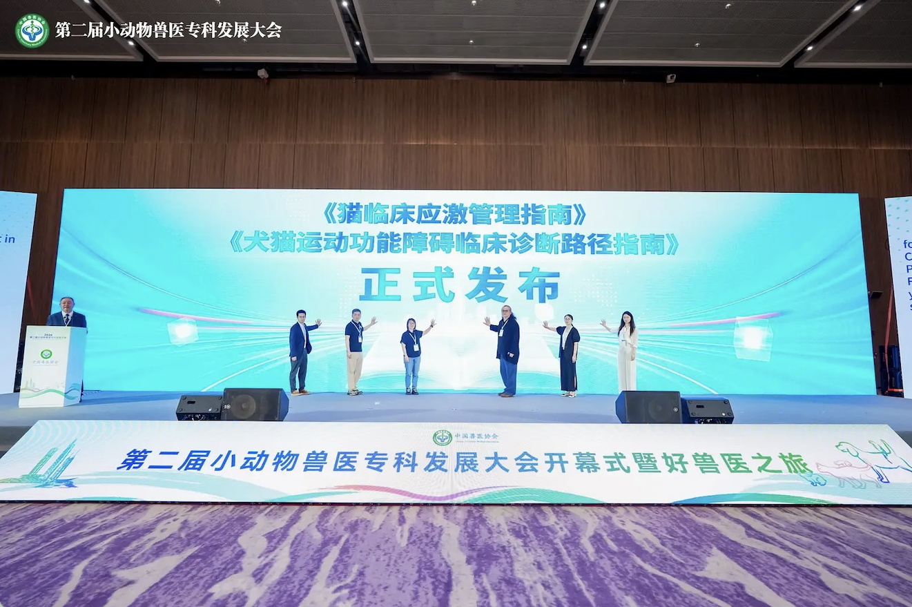 犬猫运动功能障碍标准化诊断流程示意图